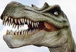 Nesli tükenen hayvanlar nelerdir? Nesli tükenmek üzere olan hayvanlar