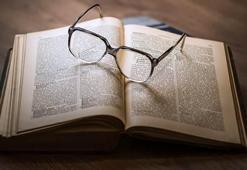 Novella nedir?