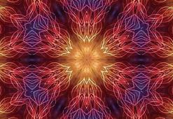 Epifiz bezi, DMT, Ayahuasca ve daha niceleri...