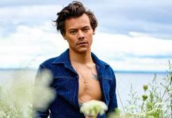 Harry Styles 'Adore You' ile 1 numara olmayı nasıl başaramadı?