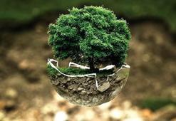 Çevrenin sessiz çığlığı