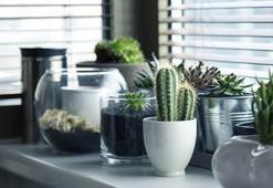 Evlere daha iyi bakmanın zamanı geldi!