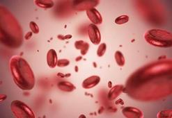 Otoimmün hastalıklar nelerdir?