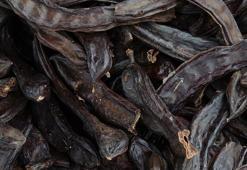 Sperm kalitesini artıran besinler