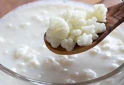 Kefir Kaç Kalori? Kefirin Protein, Vitamin Ve Besin Değerleri