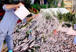 Sportif balıkçılığın ekonomiye katkısının artırılması hedefleniyor