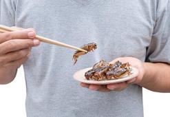 Geleceğin 'besin kaynağı' böcekler olacak! İlk kez onay verildi