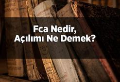Fca Nedir, Açılımı Ne Demek? Fca Teslim Şekli Nasıl Yapılır?