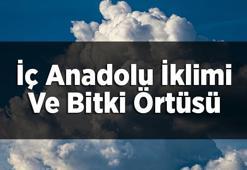 İç Anadolu İklimi Ve Bitki Örtüsü Nedir? Özellikleri Nelerdir?