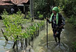 İngiltere'den iklim değişikliğiyle mücadelede yoksul ülkelere yardım sözü