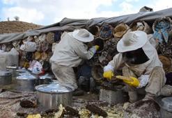 Bitlis'in yaylalarından sofraları tatlandıran lezzet: Karakovan balı