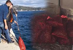 Sarıyer ve Bakırköy'de ele geçirildi! Tam 2 buçuk ton
