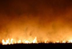 Yüksekova'da 2 gün sonra yine yangın!