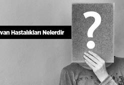Hayvan Hastalıkları Nelerdir? Tedavi Yöntemleri Nelerdir?