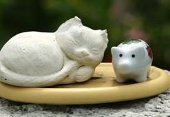 Ezop Masalları: Kartal, domuz ve kedi