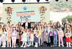 Menderes mis gibi mandalina koktu