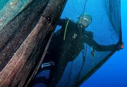 'Hayalet ağ' dalış turizmi için batırılan vapuru kapladı