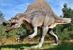 Nesli tükenmiş en tehlikeli beş hayvan