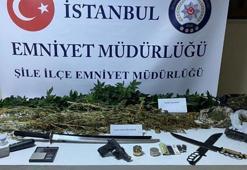 Seraya çevrilen evde 94 kök Hint keneviri ele geçirildi