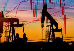 Rusya'nın petrol ve doğal gaz rezervi belli oldu