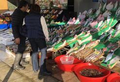 Lodos tezgahları da vurdu, en ucuz balık istavrit oldu
