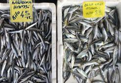 Lodos tezgahları da vurdu, en ucuz balık istavrit oldu