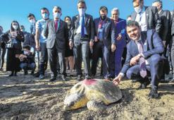 Isınma türleri yok ediyor