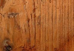 Masif Ahşap Nedir, Avantajları Nelerdir? Masif Ahşap Suya Dayanıklı Mıdır?