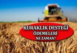 Kuraklık desteği yattı mı? 2021 Kuraklık desteği şartları neler, ne zaman yatacak?