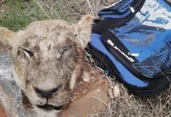 Kara büyü için yaptılar! Çantayı açan polis şoke oldu