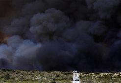 Büyük yangın durdurulamıyor... 90 bin hektar alan küle döndü!