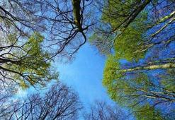 Cemre düştü mü? İlk cemre ne zaman ve nereye düşecek? 2022 Cemre düşme tarihleri