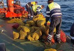 Kaçak avlanan 5 ton kara kıllı midye denize bırakıldı