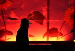 Güney Kore’de seçimin konusu ‘kellik’