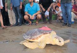 Caretta Tuba’nın izinde