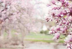 Cemre ne zaman düşecek? 2022 Birinci, ikinci, üçüncü cemre tarihleri: Cemre nedir?