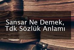 Sansar Ne Demek, Tdk Sözlük Anlamı Nedir? Sansar Kime Denir?