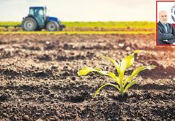 8 milyarı doyurmak için sürdürülebilir tarım