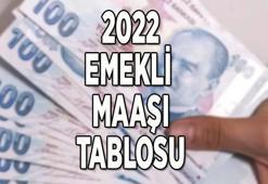 Emekli maaşı zam tablosu 2022 (SSK, Bağ-Kur) ve hesaplama ekranı (4a, 4b, 4c) ||  Kaç para emekli maaşı alırım, ne kadar?