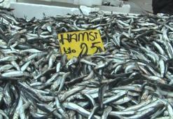 Kar bereketi! Hamsi fiyatları yarıya düştü