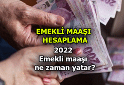 Emekli maaşı farkları ne zaman yatacak? 2022 Ne kadar emekli maaşı alırım? Sorgulama ekranı