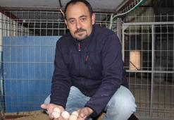 Hobi olarak başladığı ek işiydi, işsiz kalınca tek işi oldu