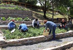 Arka bahçeyi çalışanlara emanet etti
