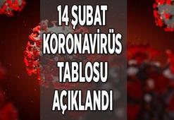 SON DAKİKA || 14 Şubat bugünkü koronavirüs tablosu (korona vaka sayısı, ölü sayısı) AÇIKLANDI! Sağlık Bakanlığı korona tablosunda son durum nedir?