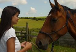 Hayvanlarla konuşabildiğini iddia eden çift