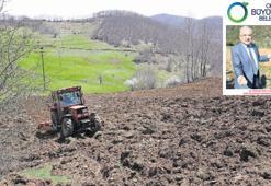 Ordu topyekün üretime geçti