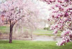 Cemre ne zaman düşer 2022? Üçüncü cemre toprağa hangi tarihte düşecek? İşte, cemre düşmesi tarihi