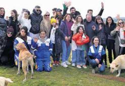 Sokak hayvanlarına destek oldular
