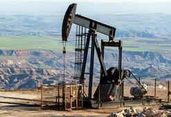 ABD Ulaştırma Bakanı'ndan tepki çeken açıklama: 'İran'dan petrol alımı masada!'