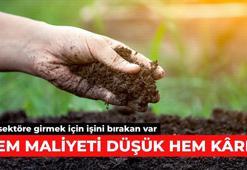 Hem maliyeti düşük hem kârlı! Bu sektöre girmek için işini bırakan var